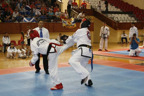 GTF Dünya Taekwondo Şampiyonası