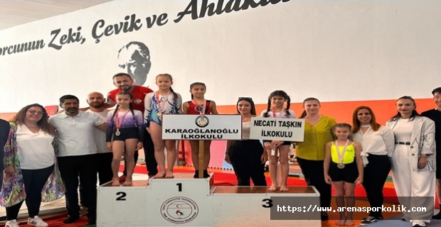 Cimnastik İlkokullarda  Necati Taşkın ve Dikmen İlkokulu Şampiyon..!
